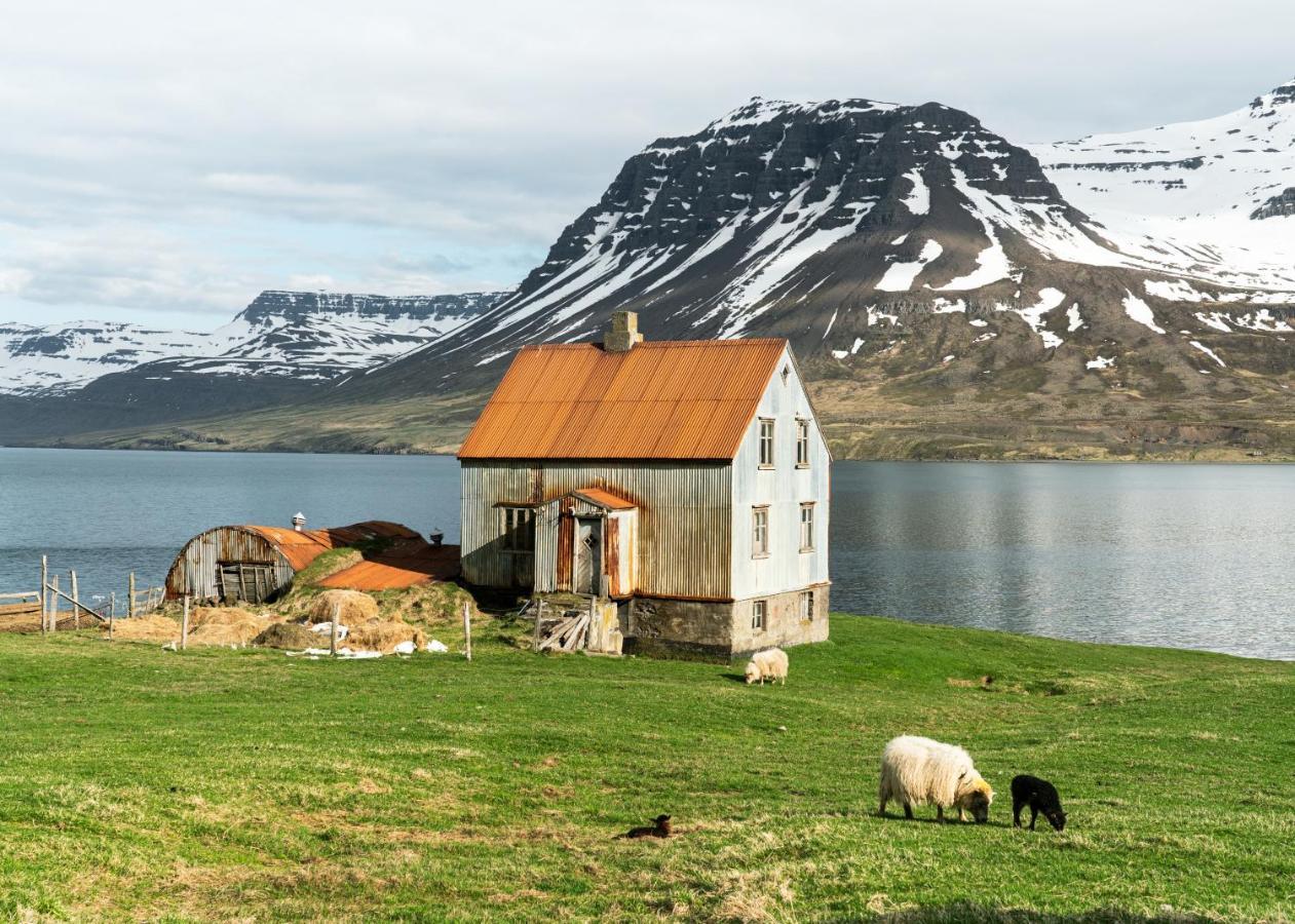Hafaldan Hi Hostel - Harbour Building Seydisfjordur Exterior foto